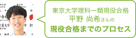 東京大学理科一類現役合格 平野さんの現役合格までのプロセス
